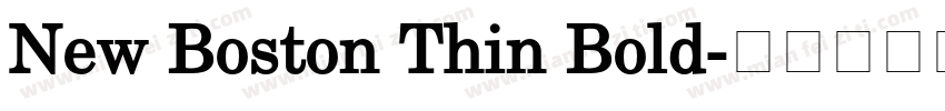 New Boston Thin Bold字体转换